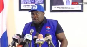 Read more about the article Election 2024: NPP Claims NDC Plotting Violence