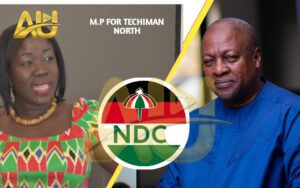 Read more about the article President Mahama Nominates Elizabeth Ofosu-Adjare as Minister of Trade, Agribusiness, and Industry.