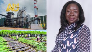 Read more about the article Hon. Ofosu-Adjare: Komenda Sugar Factory in Disrepair, Immediate Action Needed