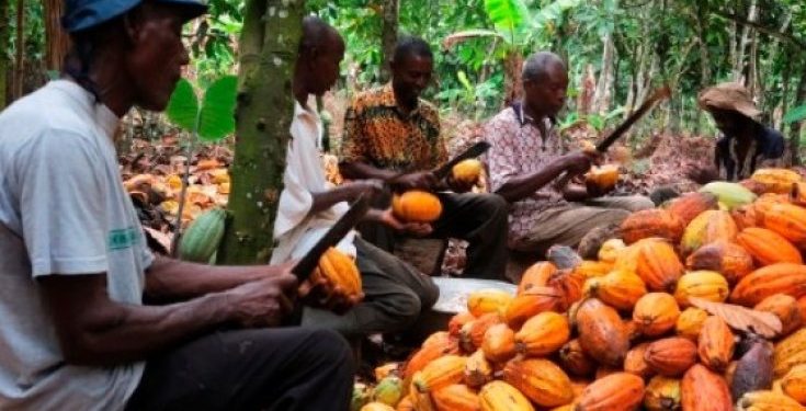 You are currently viewing Apparel Exports Overtake Cocoa as Top FX Earner – Prof. Bokpin