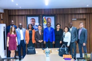 Read more about the article Turkish company Synergy to produce solar panels in Ghana