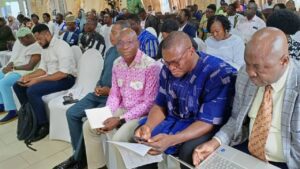Read more about the article Maternal Deaths in Upper East: Urgent Call for Action