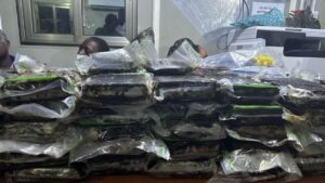 Read more about the article NACOC Seizes 73 Slabs of Suspected Cocaine Bound for Netherlands