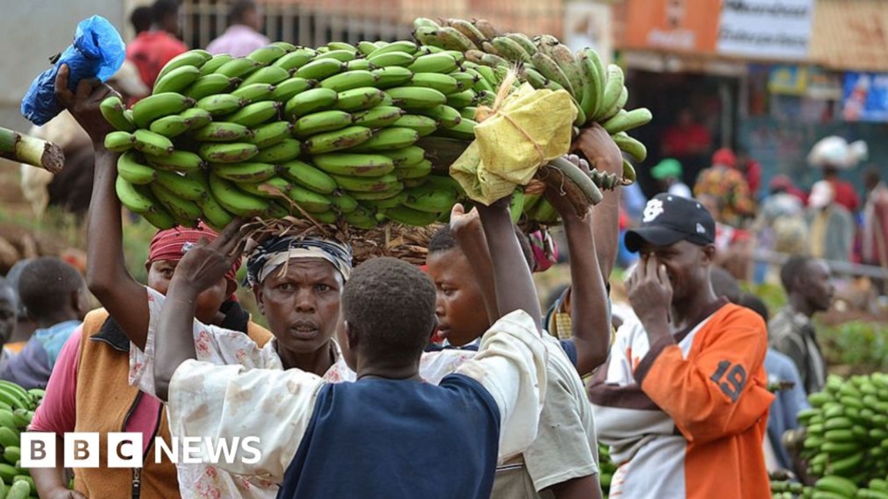 You are currently viewing Tanzania Halts Imports from South Africa and Malawi in Intensifying Trade Dispute