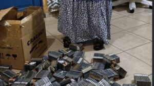 Read more about the article FDA Nabs Woman for Smuggling Fake Aphrodisiacs at Aflao Border