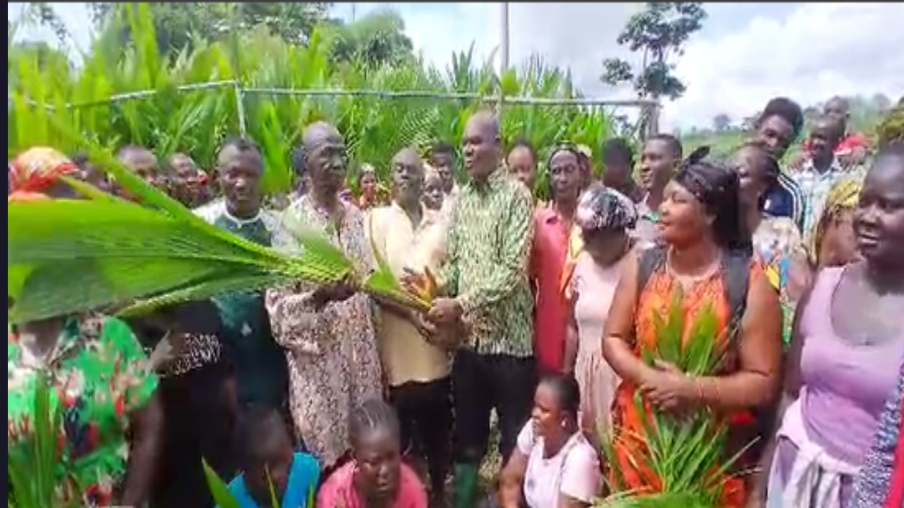 You are currently viewing World Bank Donates 2,000 Seedlings to Boost Farming in Adansi South